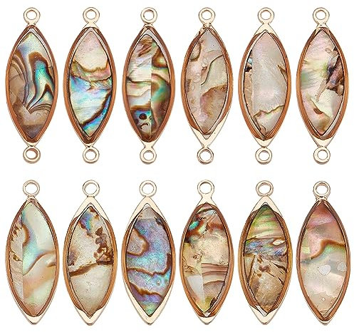 BENECREAT 12pcs 2 Styles Connecteur de Breloques en Coquille D'Ormeau Connecteur de Coquille de Paua Naturel Pendentif Liens en Œil de Cheval avec Bordure en Laiton pour Bracelet Boucles