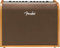 Fender Acoustic 100 Amp, for Electro-Acoustic Guitars and Microphones