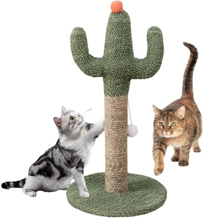 Chat Cactus, gatti – Gatti – Gattini e | Tiragraffi verticali naturali, unghie stabili per tutti i gattini interni