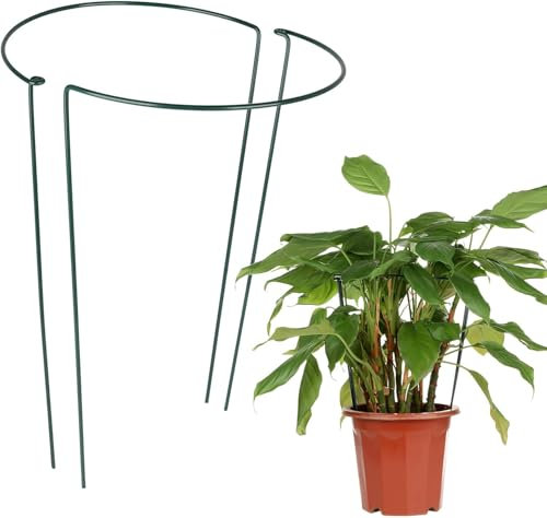 Starke Metall-Gartenstützen, halbrunde Pflanzenstützen, Gartenstützsystem, Bogenpflanzenstütze für Pfingstrosen, Hortensien, Rosen (2 Stück, B 25 x H 40 cm)