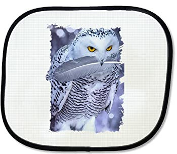 Parasol Buho Mensajero Nocturno Fantasia Magia sunshield Coche.