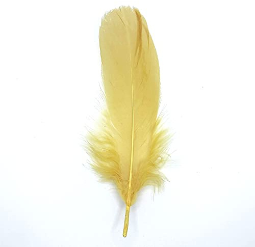 Natürliche Federn Gänsefedern, ca. 15-20 cm, 10 Stück, Sandfarben Beige - Kopper-24 Gans Schwanzfedern Schmuck Dekoration Bastelfedern für Hochzeit Karneval Party Deko Kostüme Natur Basteln