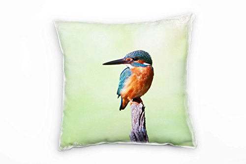 Paul Sinus Art Tiere, Eisvogel, türkis, orange, grün Deko Kissen 40x40cm für Couch Sofa Lounge Zierkissen - Dekoration zum Wohlfühlen
