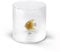 WD Lifestyle - Bicchiere in Vetro Borosilicato 250ml con Soggetto in Vetro Colorato Interno (Pesce Oro)