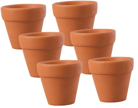 Abaodam 6 Pièces Lot de Pots Terre Cuite pour Plantes D’intérieur Pots De Fleurs pour Bureaux Et Jardins Extérieurs