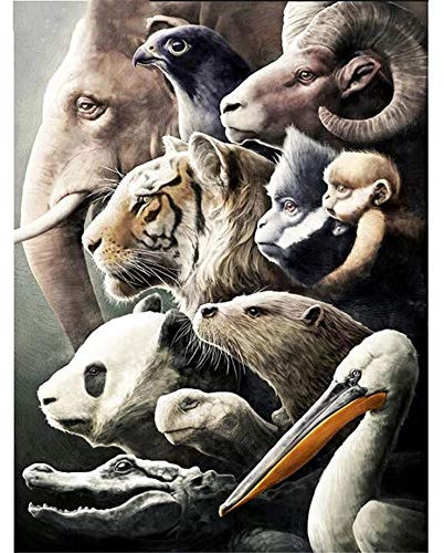 Yingxin34 Jigsaw Puzzle 5000 Teile, Mehrere Tiere 5000 Stück Puzzles für Erwachsene Kinder Freunde-61.61x41.53 Zoll (156.5 x 105.5cm)