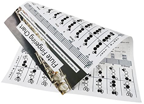 Querflöte Akkord Diagramm Querflöte Referenz Poster Übungstabelle Musikinstrument Referenz Guide für Anfänger 56 x 40 cm