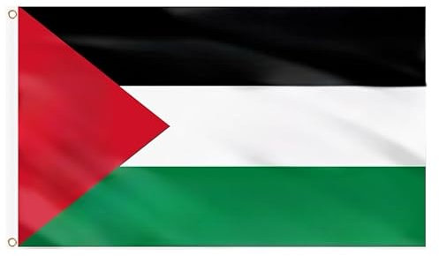 eBoutik - Large Double Stitched Palestine Flag, 5ft x 3f With, Brass Eyelets - National Flag Supporter Indoor or Outdoor Decor - Colourful & Durable