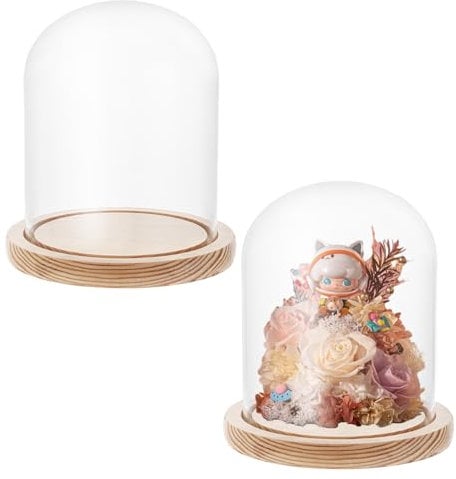 AKOLAFE Lot de 2 cloches en verre avec fond en bois - 16 cm de haut - Dôme en verre décoratif - Diamètre : 12 cm - Cloche en verre transparent - Décoration pour poupées, bougies, objets de collection