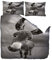 ZZZXX Bettwäsche 135X200 3Teilig Grauer Esel Bettbezug Set Microfaser Kinderbettwäsche Warme Atmungsaktive Bettbezüge Mit Reißverschluss Und 2 Mal 80X80Cm Kissenbezug