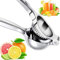 Stainless Steel Lemon Squeezer, Manual Press Citrus Juicer, Lime Squeezer - Silver Squeezer