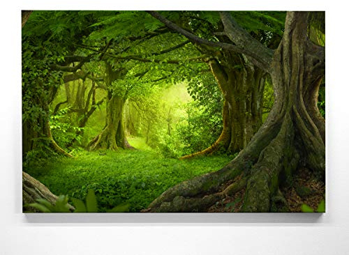 Ein Atemberaubendes Bild – Wald wie gemalt - als 180x120cm große XXL Leinwand. Tolles Wandbild als Hintergrund und Deko für Wohnzimmer & Schlafzimmer. Fertig aufgespannt auf 4cm Holz-Keilrahmen