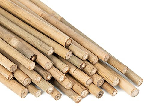 GAGINANG Lot de 20 tuteurs de plantes en bambou naturel pour intérieur et extérieur, pour tomates, haricots, plantes en pot – 45,7 cm