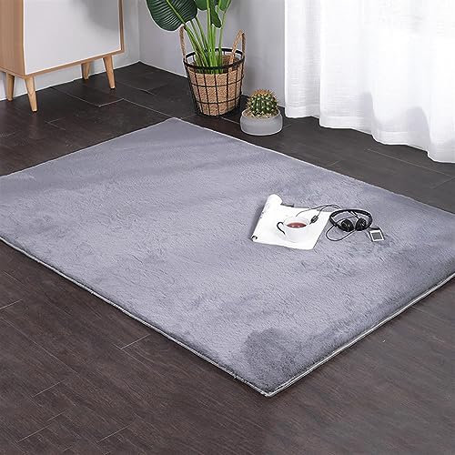 ZWPILY Flauschiger Hochflor-Teppich Grau Wohnzimmer, Hoch-Tief-Struktur, Super Weich Und Plüschig, Kuschelig, Kunstfell, Felloptik, Waschbar rutschfest,Grau,60x90 cm