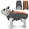 Katzinst Wintermantel Hund Gross, Wasserbeständig Reflektierend Hundemantel mit Geschirr und Rutschfester Reißverschluss, Warm Gefüttert und Kuschelig, Border Collie, Dalmatiner, Orange-Grau, XL