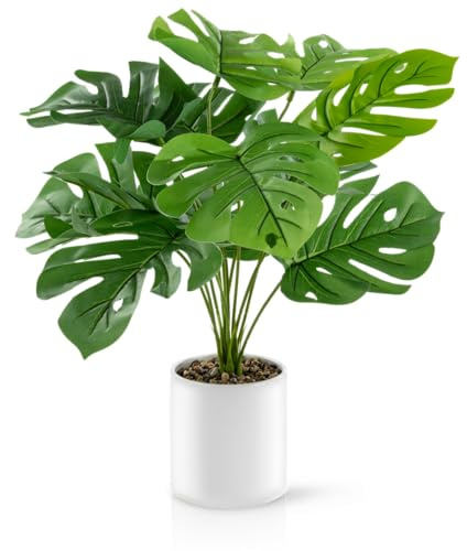 PASCH® Monstera künstlich (60cm) in weißem Keramiktopf: Kunstpflanzen groß | Kunstpflanzen wie echt | Fake Plant | Künstliche Pflanzen im Topf
