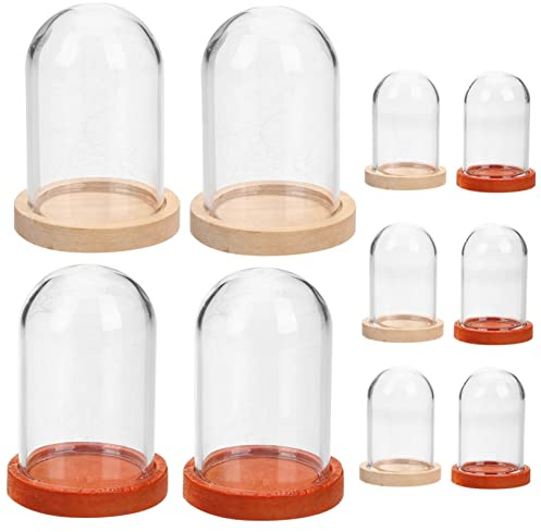 HIAKDOFT Campana De Pequeña con Base De Madera De Vidrio para Exhibición De Flores Plantas Y Decoración del Hogar Cloche Transparente para Centros Y Colecciones 10 Piezas X 5