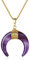 COAI Geschenkideen Damen Halskette mit Horn Mond Anhänger aus Amethyst