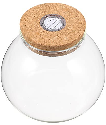 jojofuny Vase en verre Terrarium en verre bouteille écologique avec couvercle en liège et plante légère LED Terrarium pour plantes succulentes