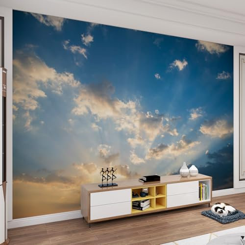 YEMYOR Papier Peint Ciel Bleu Et Nuages ​​Blancs Fresque Murale Ciel Immense Magnifiques Paysages Naturels Peintures Murales En Soie Pour Salon Et Chambre-500x300cm