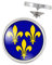 Pin's Argenté 20mm Fleurs de Lys Royale Roi de France Royauté Ile de France - Jaune sur Fond Bleu