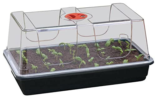 Muddy Hands High Dome Propagator Garden Greenhouse Plant Seedling Seed Germination Tray with Lid (Tray Comes Without Drainage Holes) (Large)