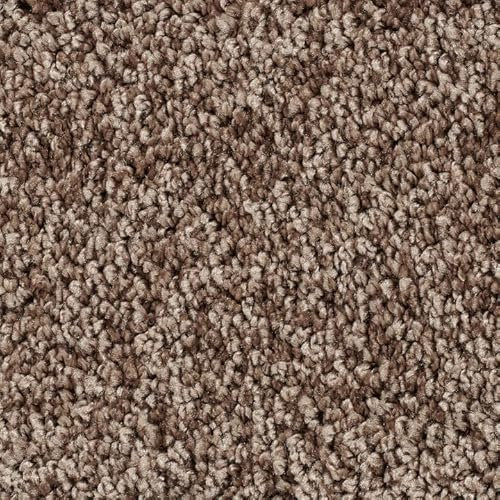 SchönesWohnen Teppichboden Almara Auslegware braun 400x100cm