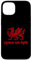 iPhone 13 Cymru am byth Wales Red Welsh Dragon Cymraeg Flag Case
