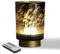 Eywamage Kleine Batterie-Pampasgras-Tischlampe, kabellose Glas-Nachttischlampe mit Fernbedienung und Timer, dekorative Lichter