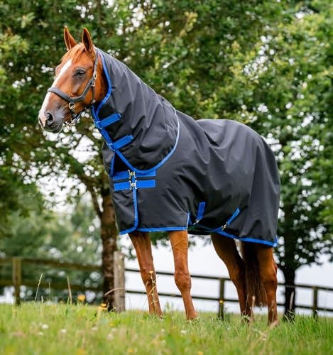 Amigo Horseware 900D Ripstop Plus Turnout 0g Black/Classic Blue, Horseware Deckengröße:145 cm / 6´6