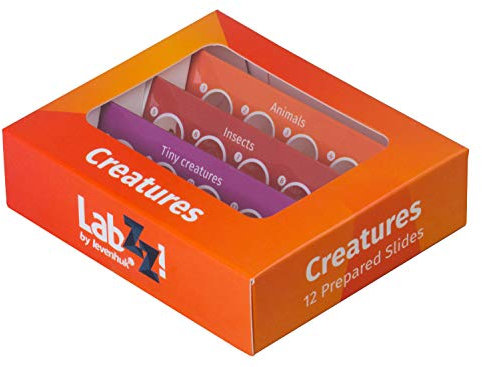Levenhuk LabZZ C12 Creatures Kids Educational Prepared Microscope Sample Slides Set of 12 Animal and Insect Specimens for Children with Curiosity for Entomology and Zoology
