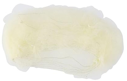 IWOWHERO 100 Stück Unsichtbares Elastisches Haarnetz Gold Mesh Duttnetz für Ballett Pflege Gastronomie Weiches Langlebiges Haarschutznetz