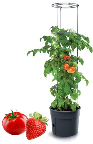Tymar Macetero para tomates, tomates, tomates, balcón, con enrejado, con almacenamiento de agua (1 unidad, diámetro de 35 cm)