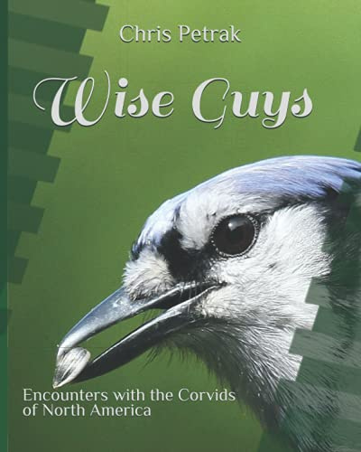Wise Guys: Encounters with the Corvids of North America