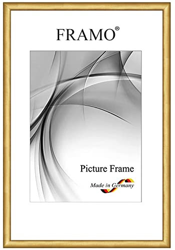 FRAMO Holz Bilderrahmen Schmal 61 x 81 cm aus Massivholz | Gold | Farbe/Größe wählbar | Rahmen für Poster | Puzzle | Foto collage N°081
