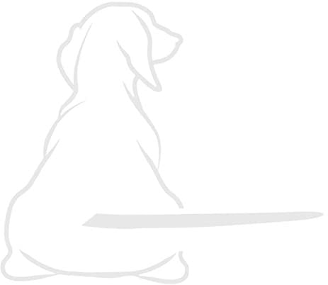 Dog Rear Wiper Decal | Funny Moving Tail Car Rear Window Wiper Decals | Funny Dog Decal Reflective Car Stickers Car Windshield Wiper Decals Car-Styling Car