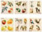 QUOKKA Steckpuzzle Holz ab 1 2 Jahre - 6 Set Spielzeug Puzzle ab 2 3 Jahre - Tiere Lernspiele für Kinder - Geschenk für Baby Mädchen and Junge