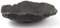 Bonsaischale Bogenschale Pflanzschale Waldschale Landschaftsschale anthrazit 27x20x7cm (14224)
