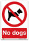 No dogs Sign - A5 1mm Rigid Plastic Sign - Prohibition Safety Information