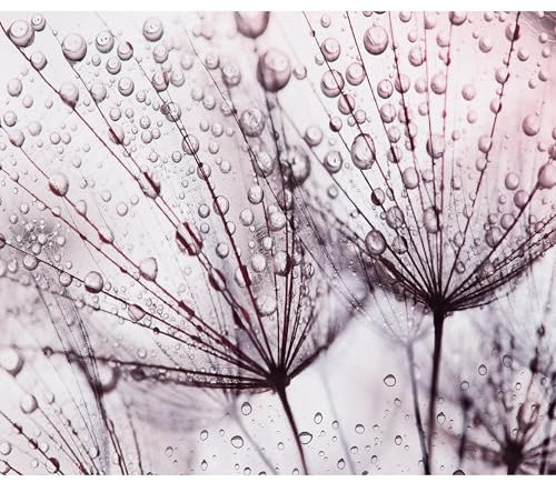 decomonkey Fototapete Pusteblume 350x256 cm XL Tapete Fototapeten Vlies Tapeten Vliestapete Wandtapete moderne Wandbild Wand Schlafzimmer Wohnzimmer Blumen Natur