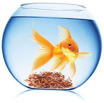 COSMEVIVI 100g Polierte Dekorative Kieselsteine Rot Für Aquarien Vielfältige Farben Für Aquarien Wasseranlagen Terrarien Und Blumendekorationen