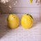 Lemon Shaped Salt & Pepper Pots Ceramic Shaker Fruit Cruet Set