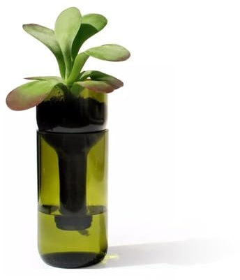 Side by Side - Self Watering Bottle - Blumengefäß/Blumentopf - Glas/Docht/Tuch - grün - D 7,5cm - gefertigt aus Einer echten Weinflasche!