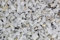 Ziersplitt Carrara 9-12 mm 25 kg Sack Splitt Gabionenfüllung Deko Garten