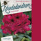 Rhododendron 'Marie Forte' - Rhododendron 'Marie Forte' - 40-50_C