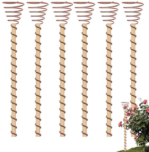 12 Stück Kupfer Gartenpfähle | Lectroculture Gardening Kupferdraht | 12 Zoll Elektrokultur Pflanzenpfähle | Kupferdraht Im Garten | Kupferspulenantennen Für Wachsende Garten, Pflanzen Und Gemüse