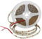 JANDEI - Ruban LED 5 mètres 12V pour extérieur IP65, lumière froide 6000K, 120 LEDs/m, SMD 2835, leds étanches pour décoration extérieure (alimentation non incluse)