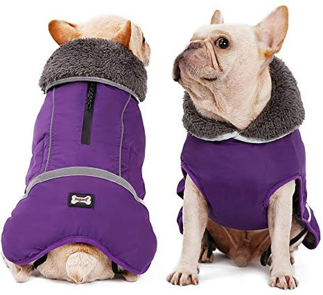Wasserdichter winddichter Hundemantel für kaltes Wetter, warme Hundekleidung, Jacken für kleine, große, mittelgroße Mädchen, Jungen, Aktivitäten im Freien und drinnen (lila, klein)