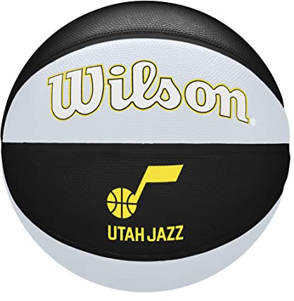Wilson Nba Alnce Bskt Basketball