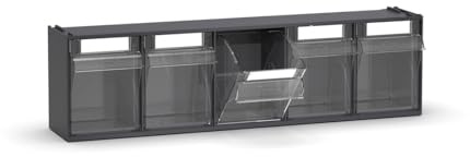 Fami - Cassettiera Porta Minuteria da Muro, Scaffali e Carrelli per Garage, Officina e Magazzini, 5 Cassetti Trasparenti Visual Box, Pannello Porta Viti e Bulloni, Dimensioni: 60 x 14 x 16,8 cm